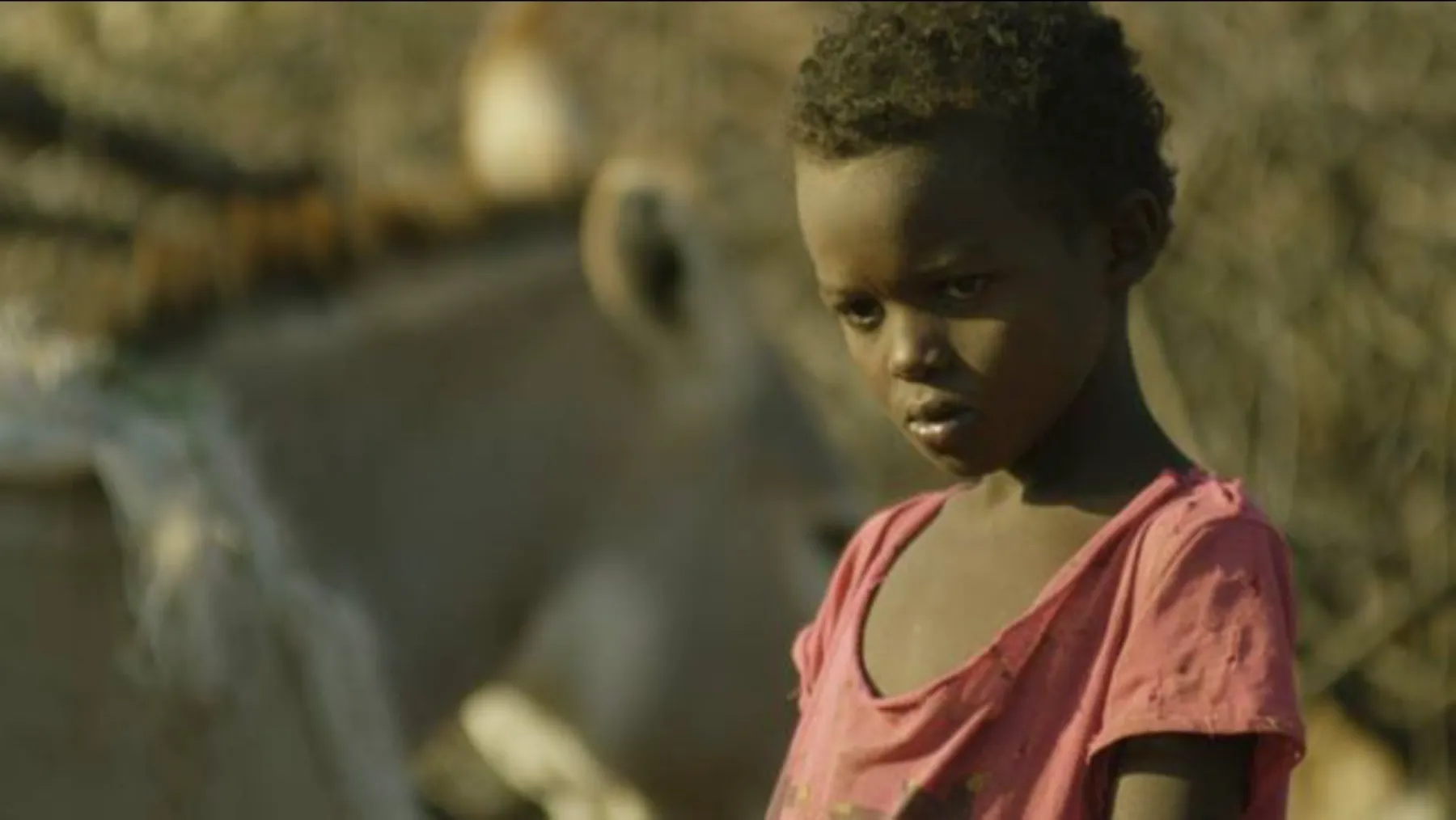 Another happy cataract patient with Dan